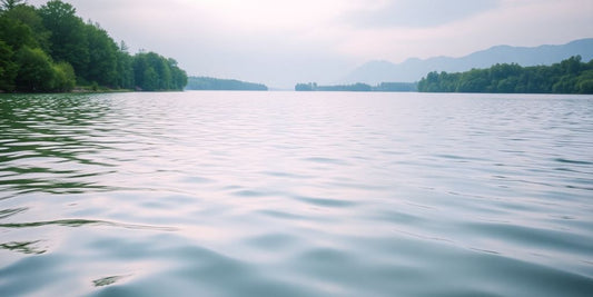 Tranquil landscape with water, trees, and distant mountains.